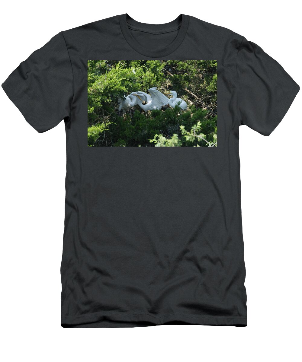 Birds T-Shirt featuring the photograph Friends at play by Paul Ross