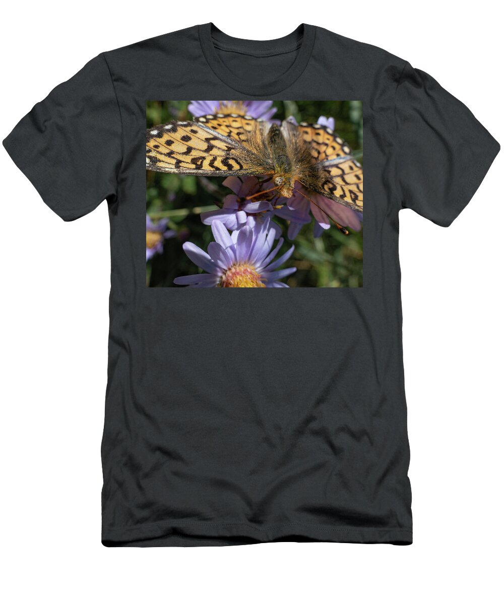 Butterfly T-Shirt featuring the photograph Fritillary Portrait On Aster by Phil And Karen Rispin