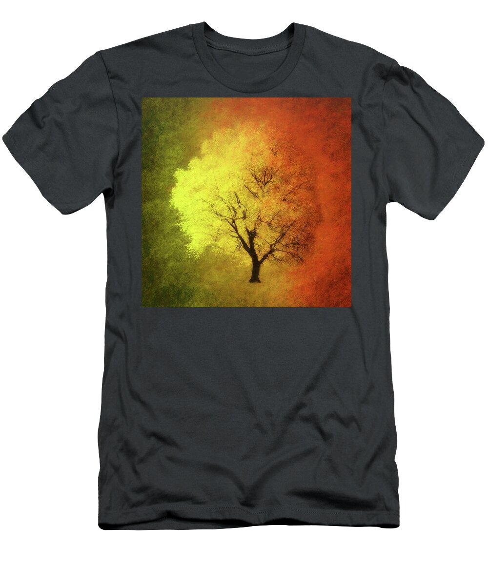 Summer T-Shirt featuring the photograph From Summer To Fall by James DeFazio