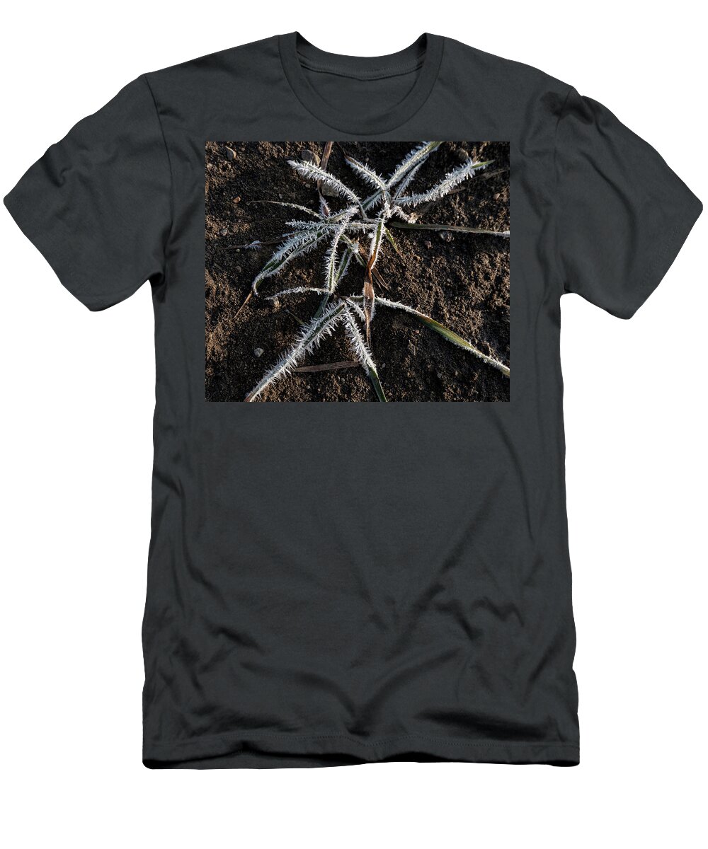 Frost T-Shirt featuring the photograph Frost On Crabgrass by Karen Rispin
