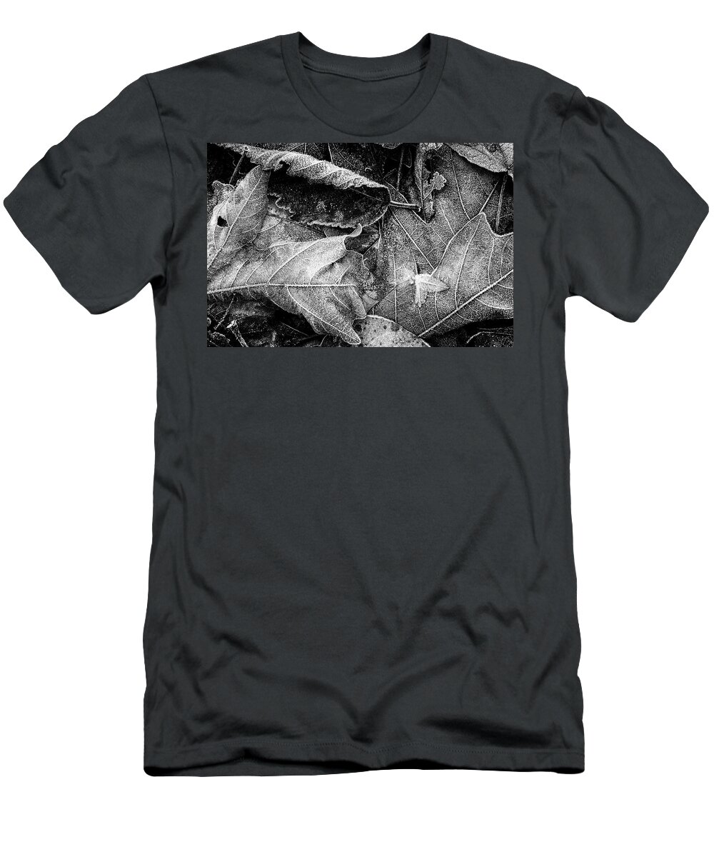 Frost T-Shirt featuring the photograph Frost on Fallen Leaves bw by Belinda Greb