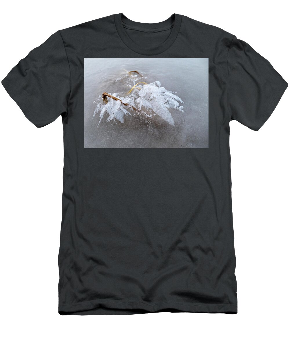 Frost T-Shirt featuring the photograph Frost On Ice And Reeds by Phil And Karen Rispin