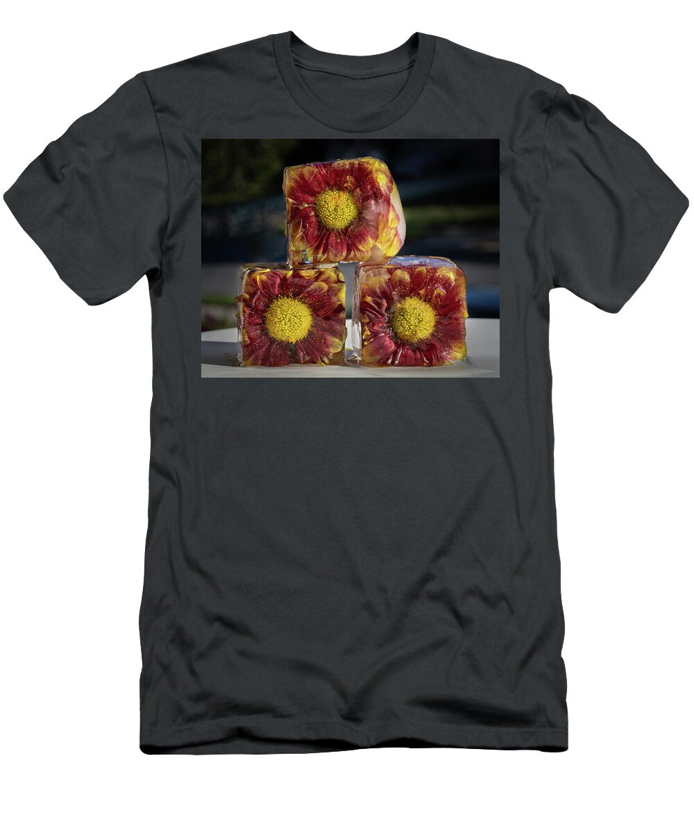 Flower T-Shirt featuring the photograph Frozen Trio by Elvira Peretsman