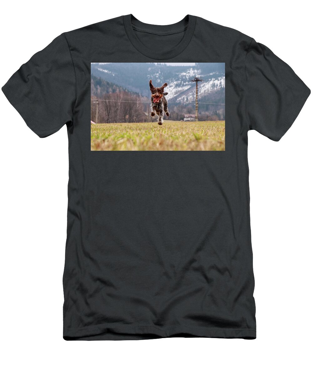 Bohemian Wire T-Shirt featuring the photograph Funy face of bitch Hound- Bohemian Wire Haired Pointing Griffon by Vaclav Sonnek