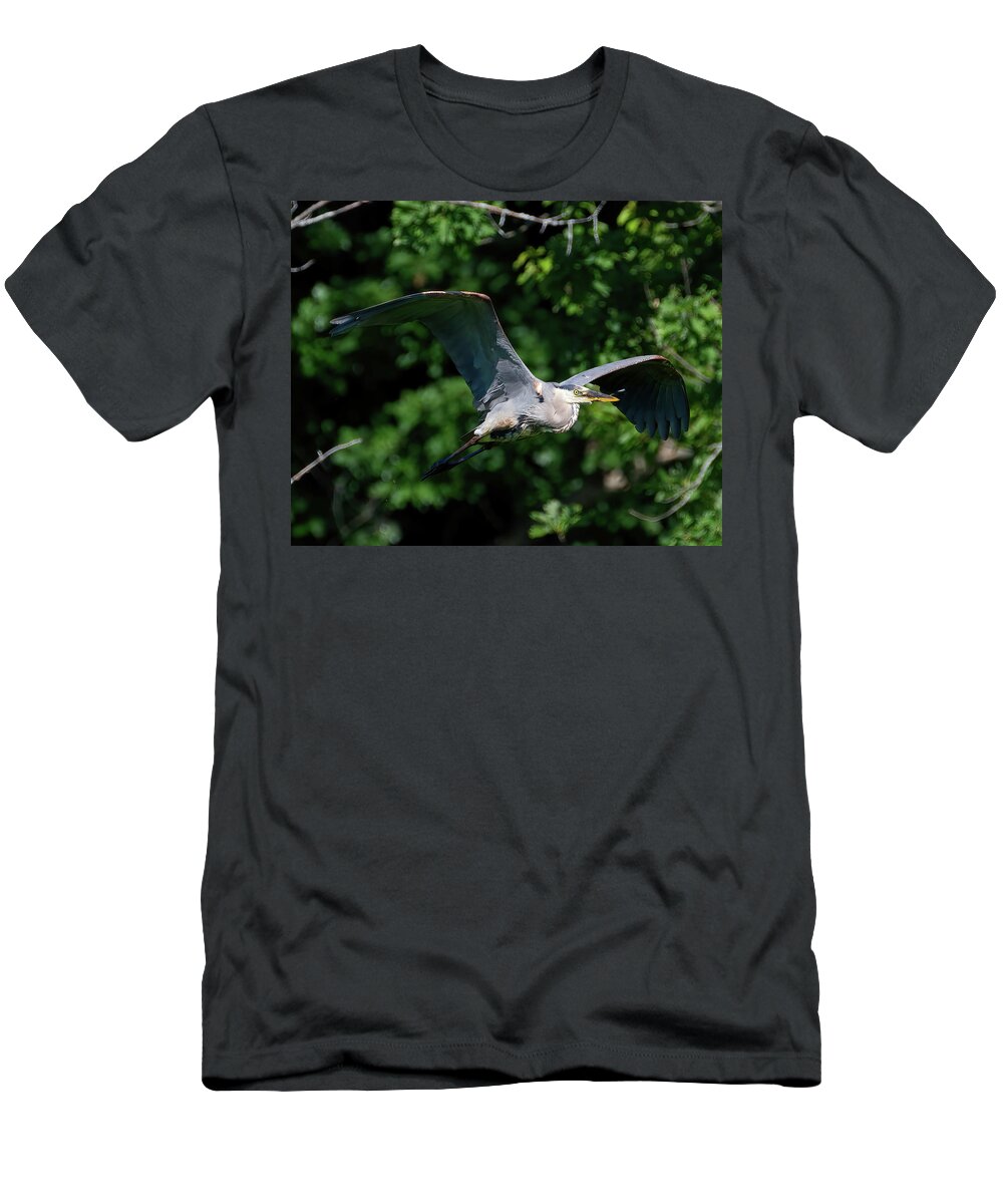 Heron T-Shirt featuring the photograph GBH Fly-by by Flinn Hackett