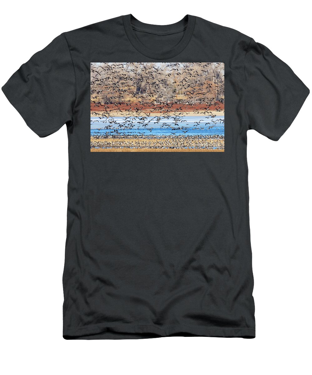 Geese T-Shirt featuring the photograph Geese at Barr Lake by Steven Krull