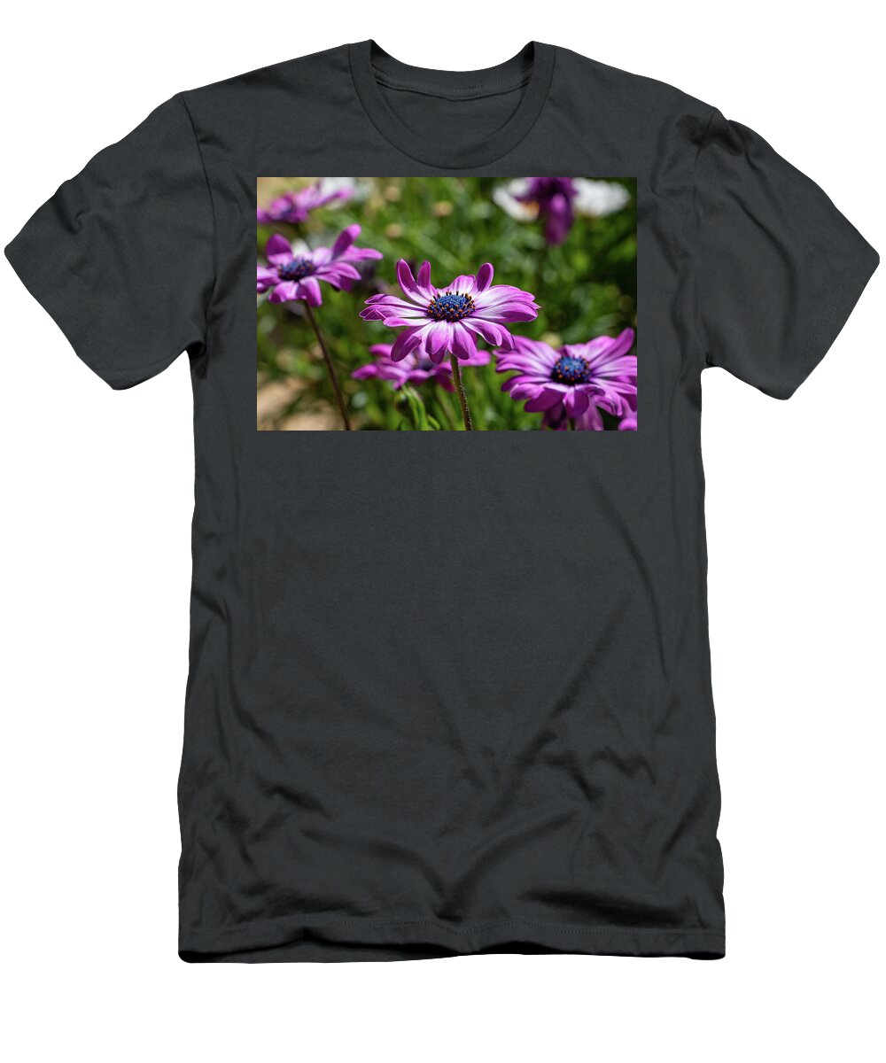 Bloom T-Shirt featuring the photograph Gerbera Daisy in May by Jeff Severson