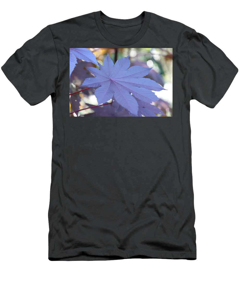 Castor Bean Plant T-Shirt featuring the photograph Giant Purple Leaves by Mingming Jiang