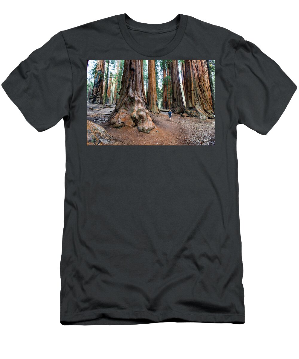 Photography T-Shirt featuring the photograph Giant Sequoias by Erin Marie Davis
