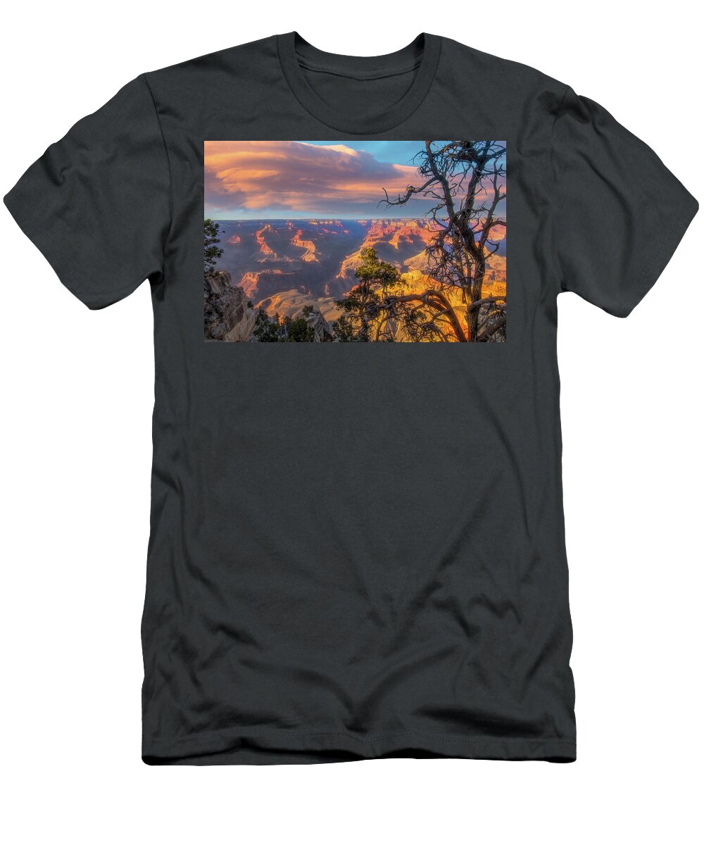 Arizona T-Shirt featuring the photograph Gnarled juniper on Canyon Rim by Jeff Folger