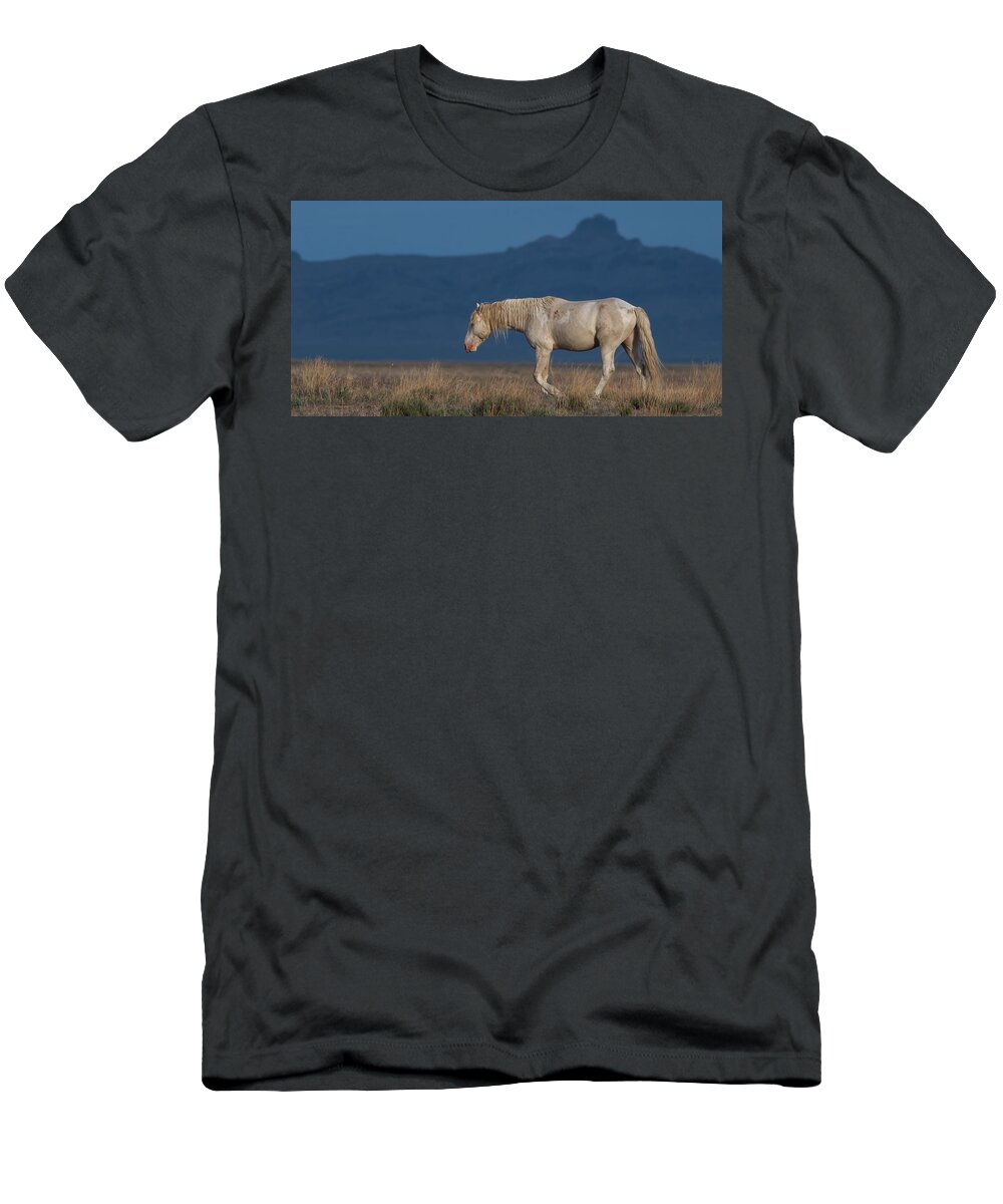Panorama T-Shirt featuring the photograph Going by Mary Hone