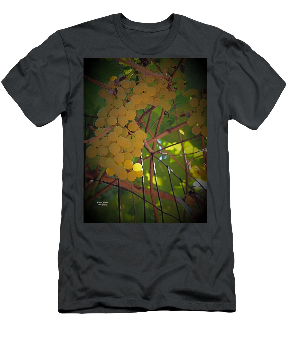 Fruit T-Shirt featuring the photograph Gold on Vine by Richard Thomas
