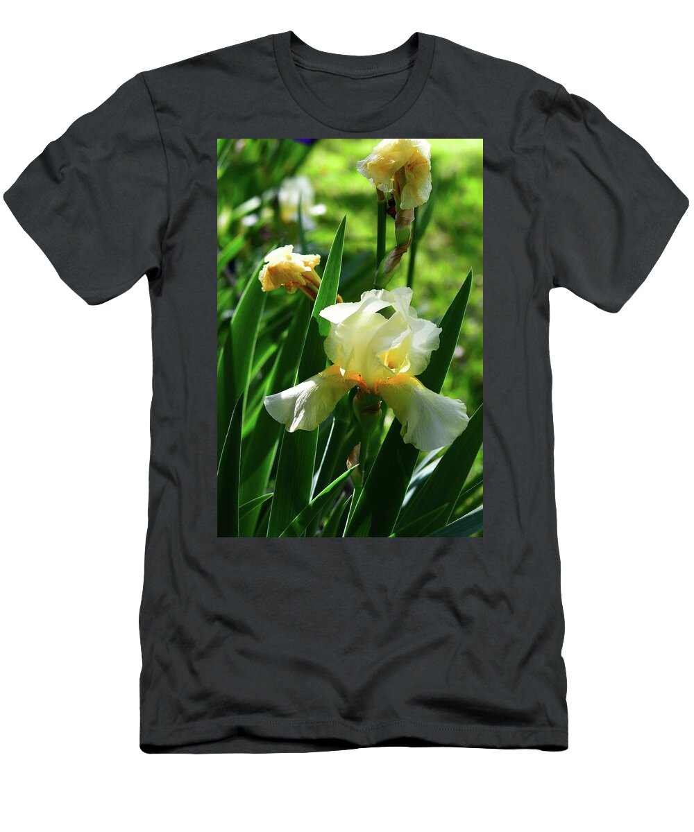 Golden T-Shirt featuring the photograph Golden Bearded Irises by Cynthia Westbrook