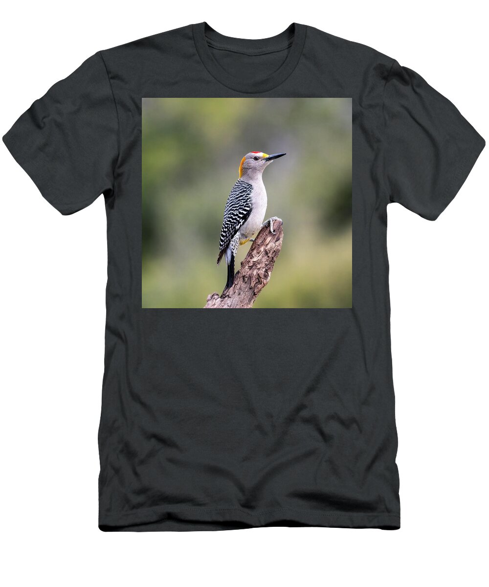 Golden-fronted Woodpecker T-Shirt featuring the photograph Golden-Fronted Woodpecker by Cheri Freeman