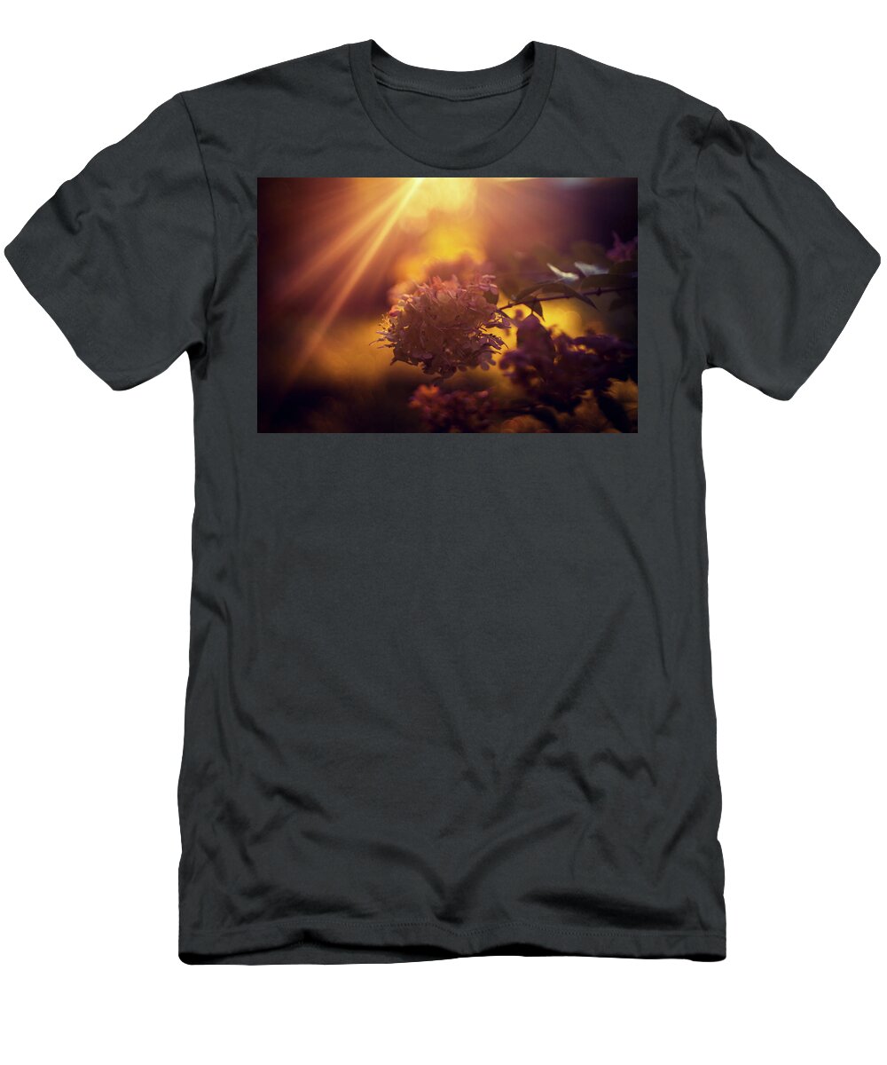 Strawberry Hydrangea T-Shirt featuring the photograph Golden hour light over hydrangea by Lilia S