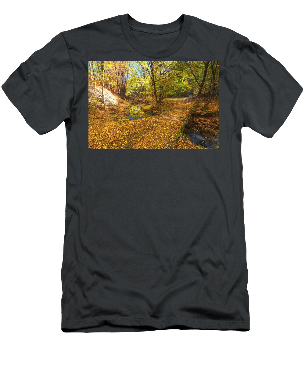 Bulgaria T-Shirt featuring the photograph Golden River by Evgeni Dinev