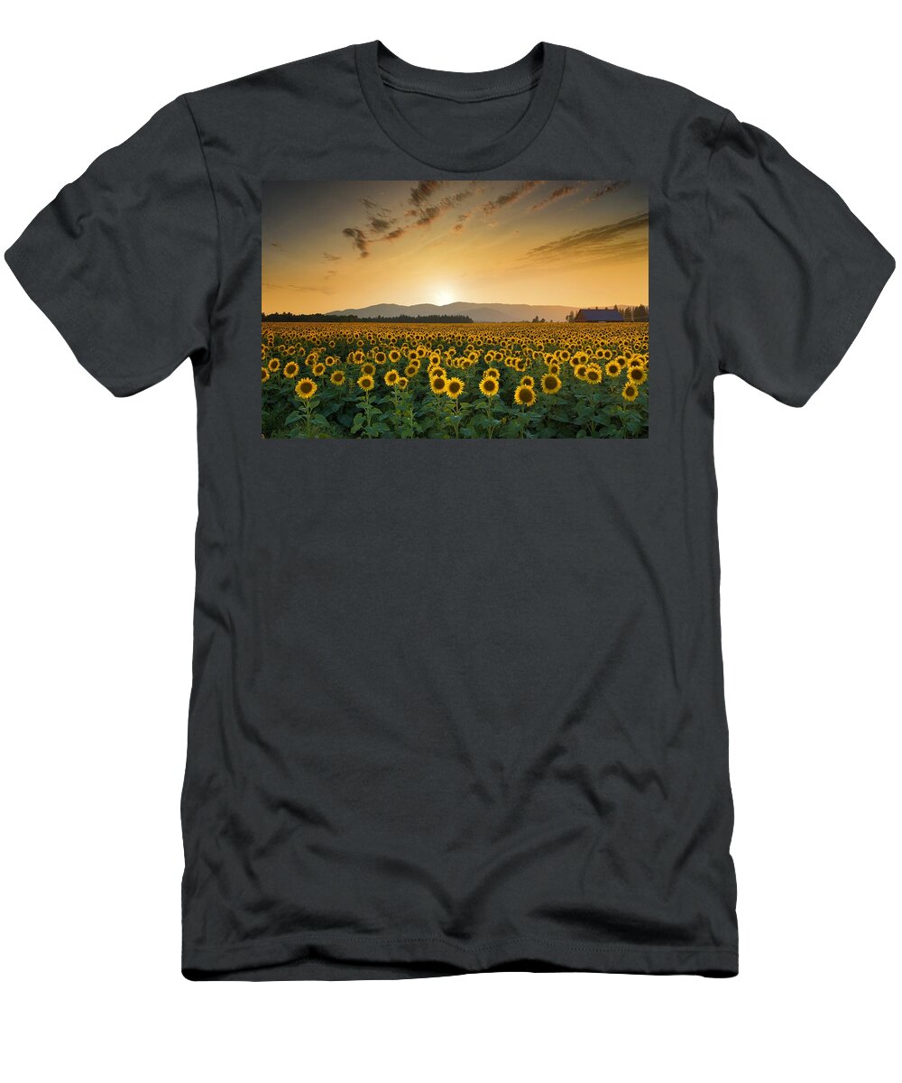 Golden Sunflower Field T-Shirt featuring the photograph Golden sunflower field by Lynn Hopwood