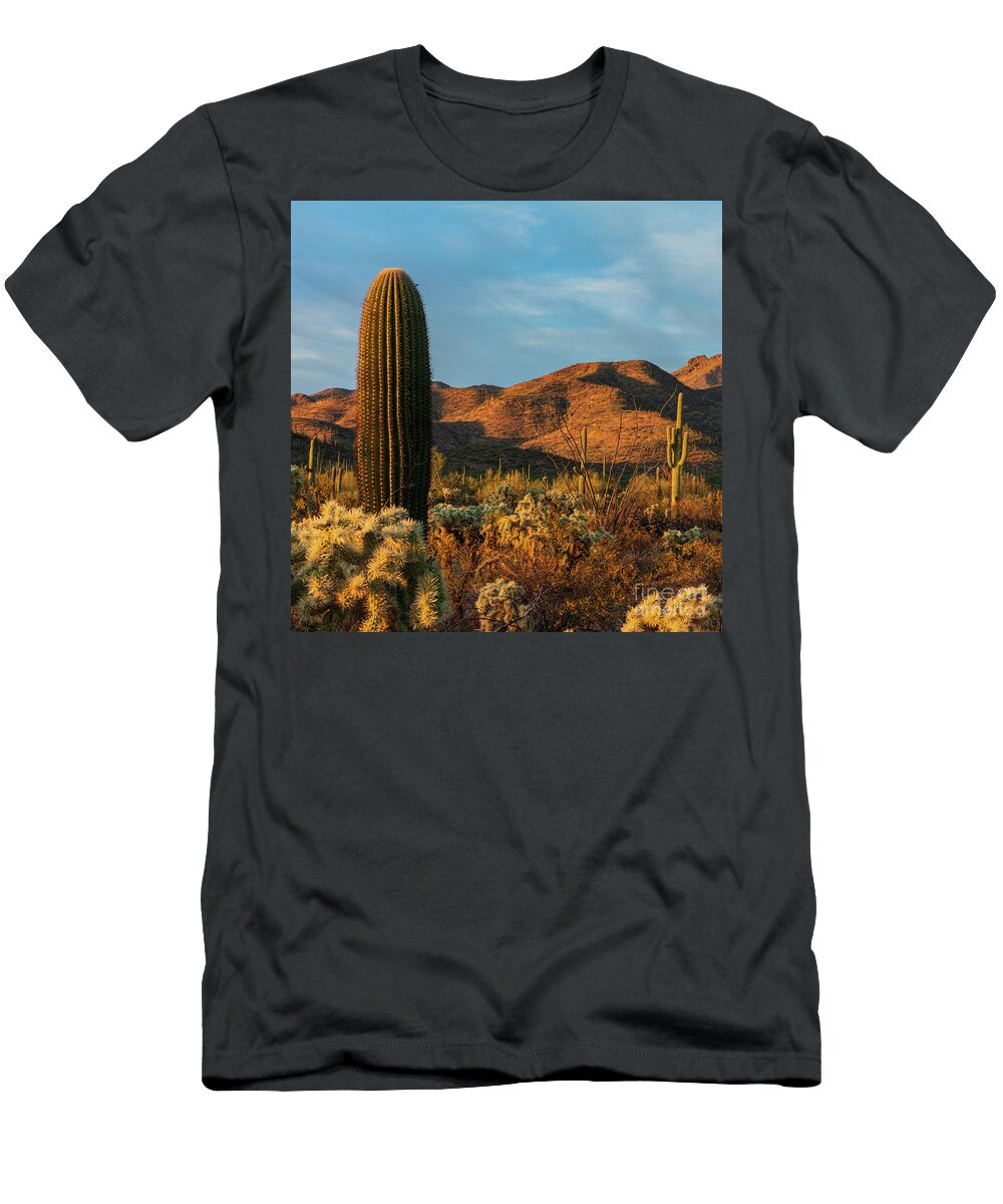Landscape T-Shirt featuring the photograph Golden Sunset by Seth Betterly