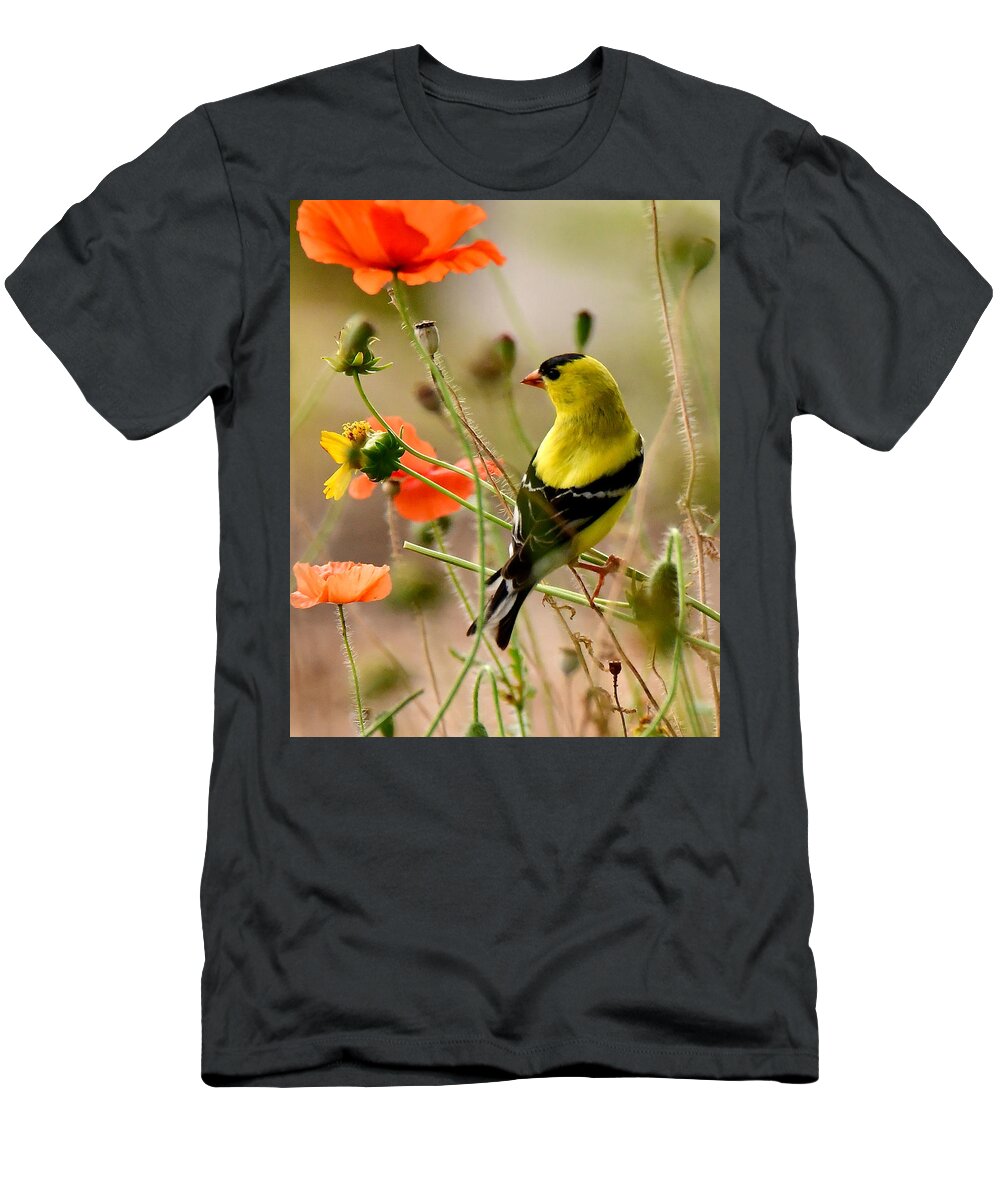 American T-Shirt featuring the photograph Goldfinch in Poppies by Michael Peychich