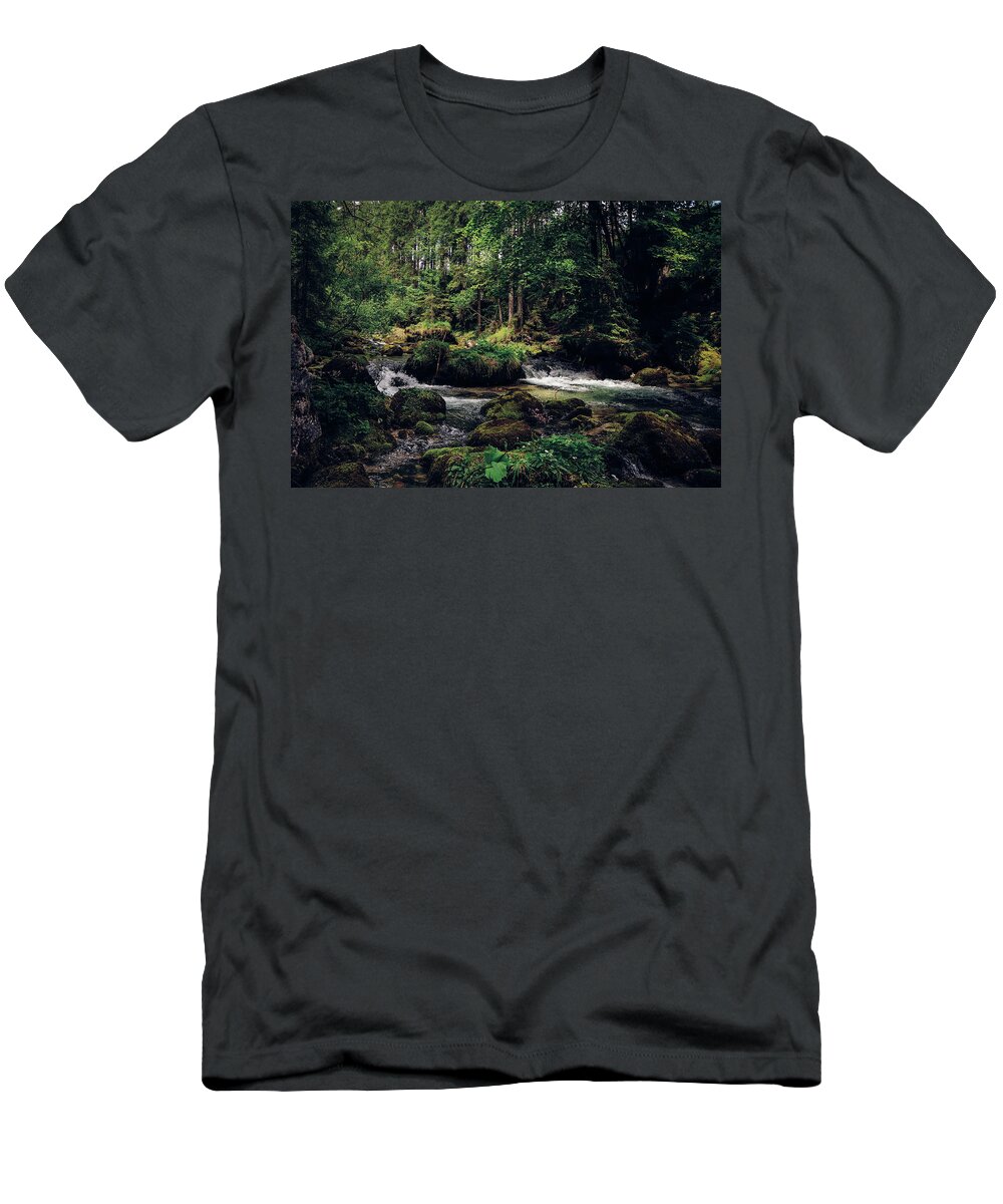 Path T-Shirt featuring the photograph Gollinger Wasserfalls by Vaclav Sonnek