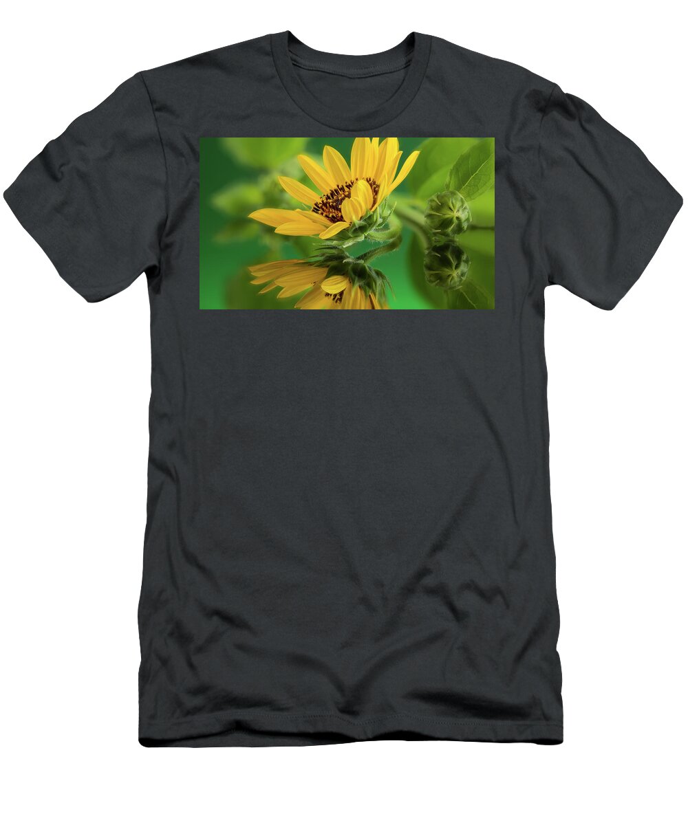 Sunflower T-Shirt featuring the photograph Good Morning Sunshine by John Rogers