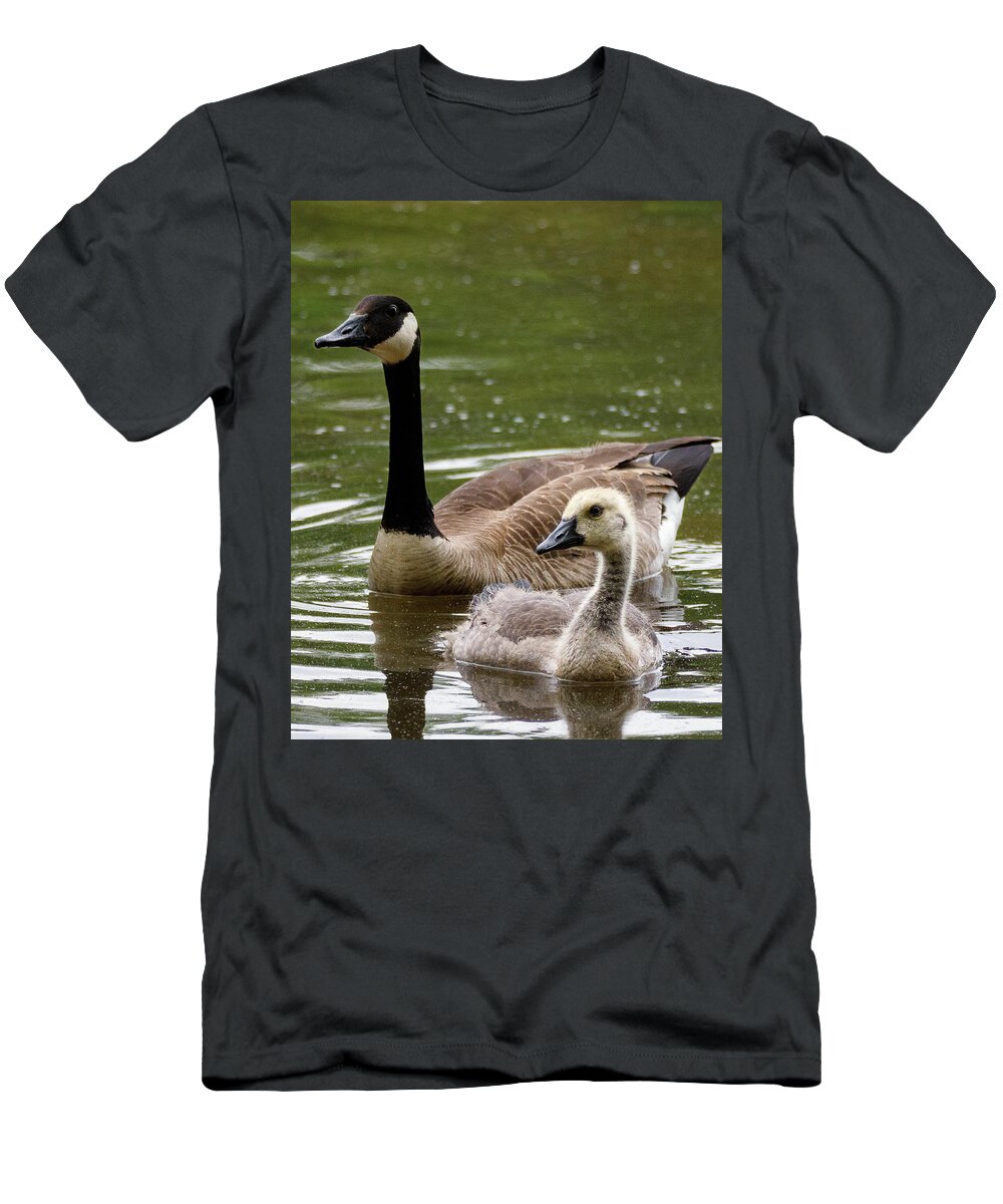 Gosling T-Shirt featuring the photograph Gosling by David Beechum