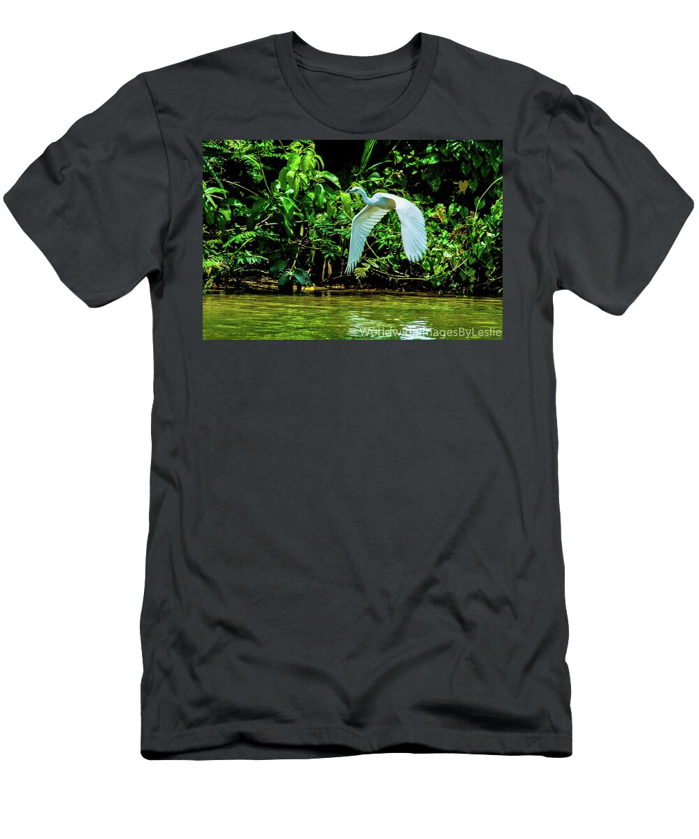 Great White Egret T-Shirt featuring the photograph May You Find Peace by Leslie Struxness
