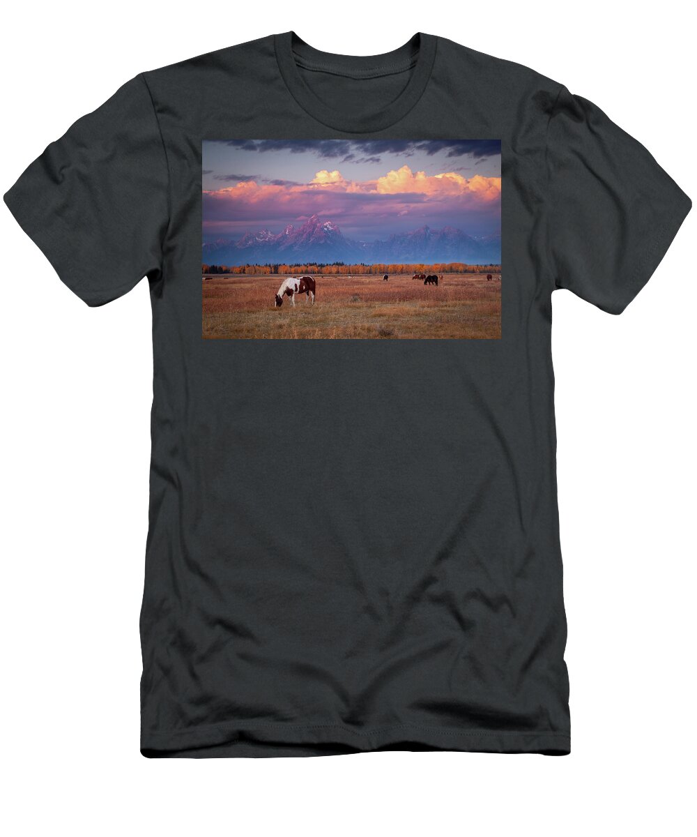 Grand Tetons T-Shirt featuring the photograph Grand Teton Pasture by Wesley Aston