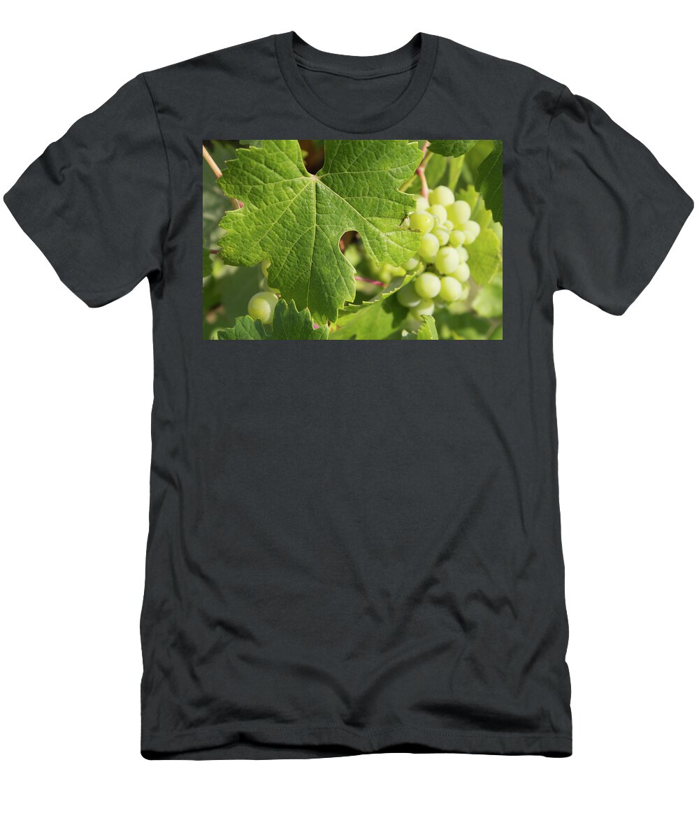 Grape Leaf T-Shirt featuring the photograph Grape leaf by Fabiano Di Paolo