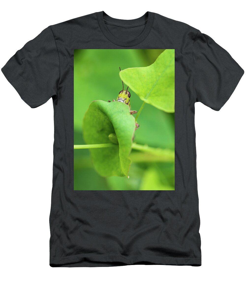 Animals T-Shirt featuring the photograph Grasshopper by Amelia Pearn