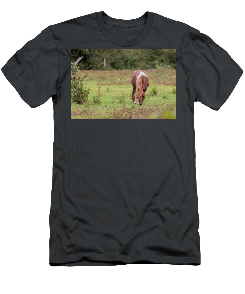 Camping T-Shirt featuring the photograph Grazing Horse #291 by Michael Fryd