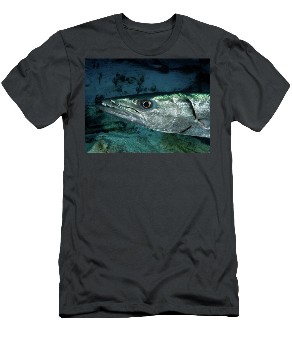 Barracuda T-Shirt featuring the photograph Great Barracuda by Brian Weber