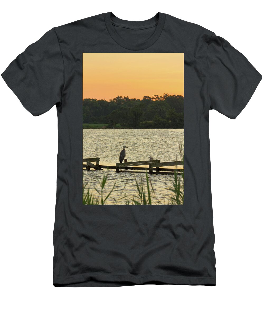 Birds T-Shirt featuring the photograph Great Blue Heron and Seagull on Old Pier by Charles Floyd