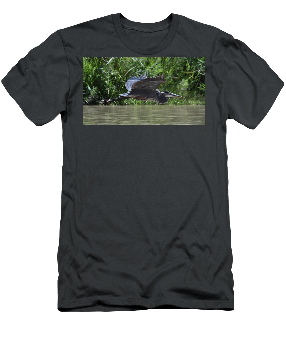Heron T-Shirt featuring the photograph Great Blue Heron on the Wing by Ben Foster