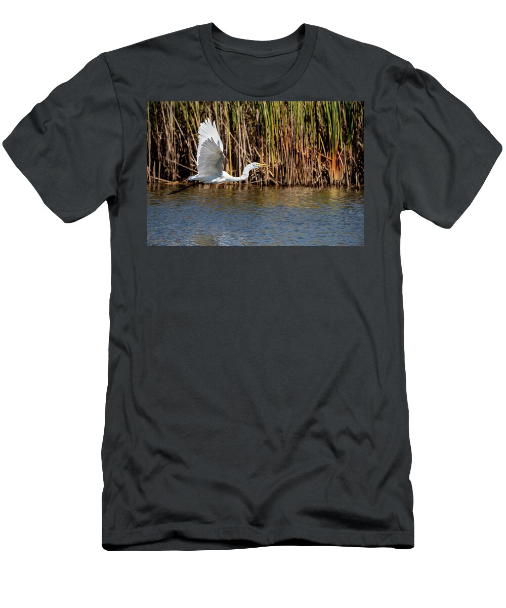 Bird T-Shirt featuring the photograph Great Egret Flying Low by Ira Marcus
