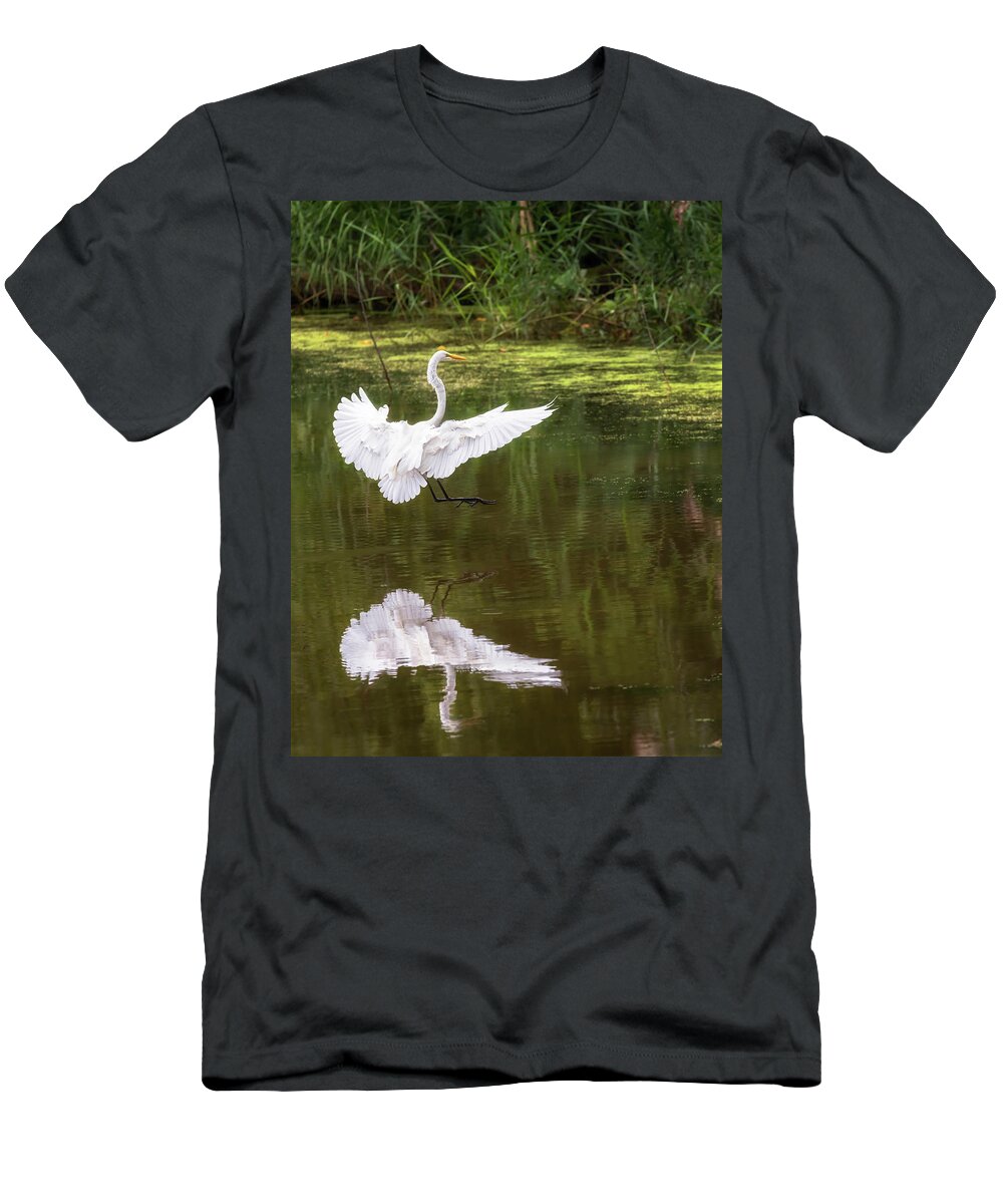 Bird T-Shirt featuring the photograph Great Egret Landing - Crab Orchard Lake by Susan Rissi Tregoning