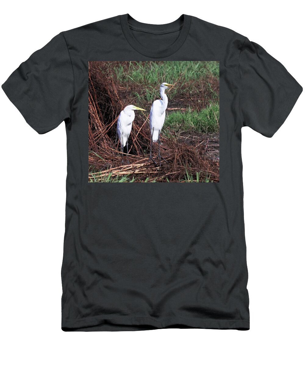 Animal Wildlife T-Shirt featuring the photograph Great Egret's by Dennis Boyd