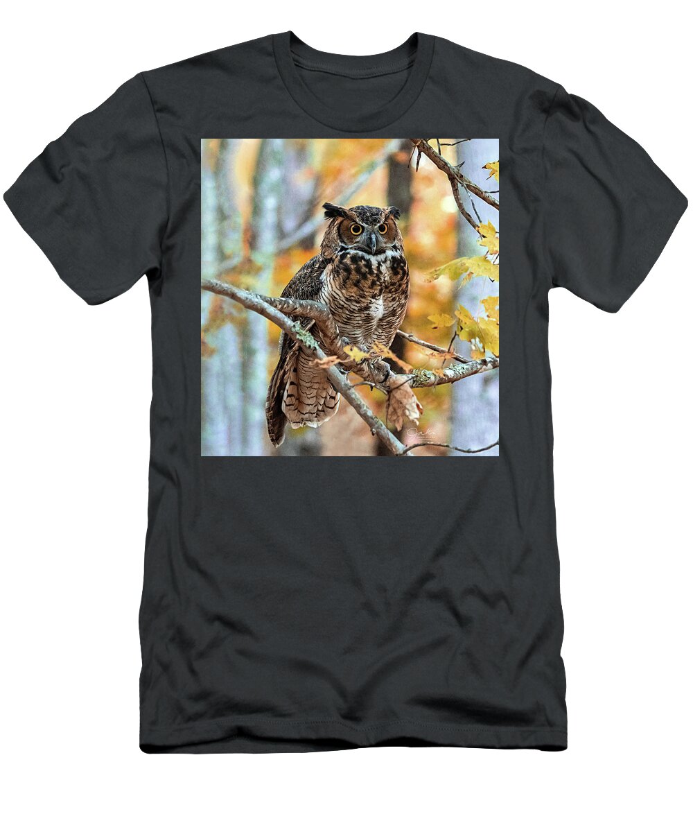 Owl T-Shirt featuring the photograph Great Horned Owl in Fall by Jaki Miller
