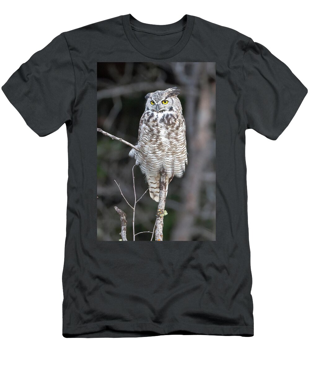 Great Horned Owl T-Shirt featuring the photograph Great Horned Owl by Jack Bell
