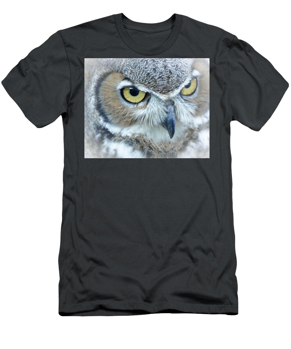 Owl T-Shirt featuring the photograph Great Horned Owl by Susan Rydberg