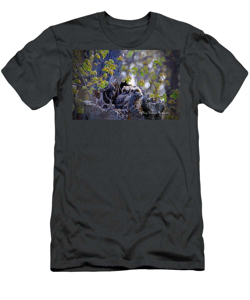 Owls T-Shirt featuring the photograph Great Horned Owlets by Mary Walchuck