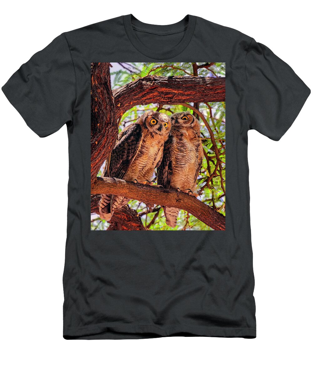 Great T-Shirt featuring the photograph Great Horned Owls v124129 by Mark Myhaver
