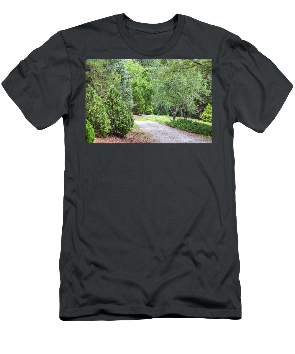 Trees T-Shirt featuring the photograph Green And Greener Path by Ed Williams