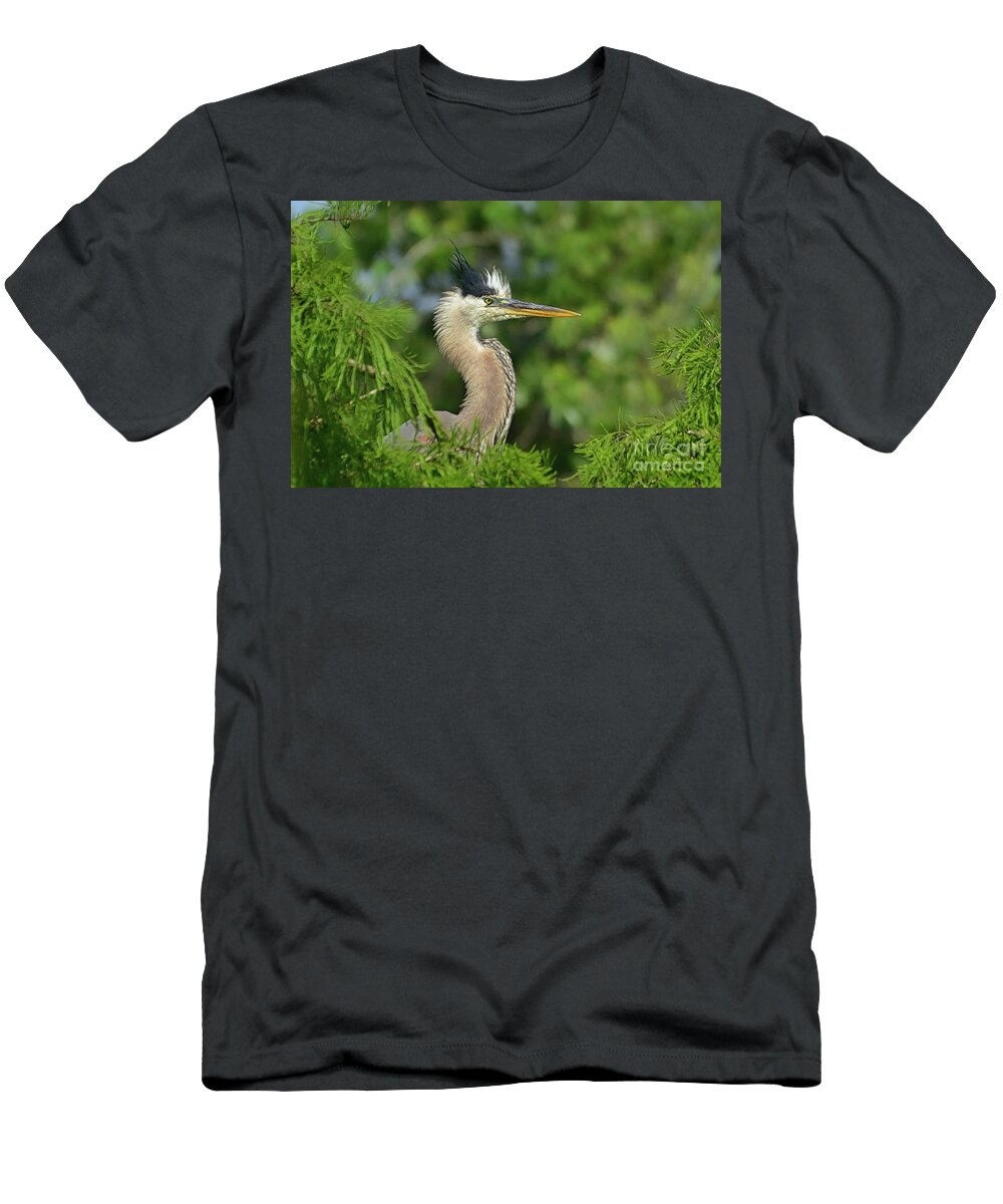 Blue Heron T-Shirt featuring the photograph Green Blue Heron in the Cypress trees. by Kathy Baccari