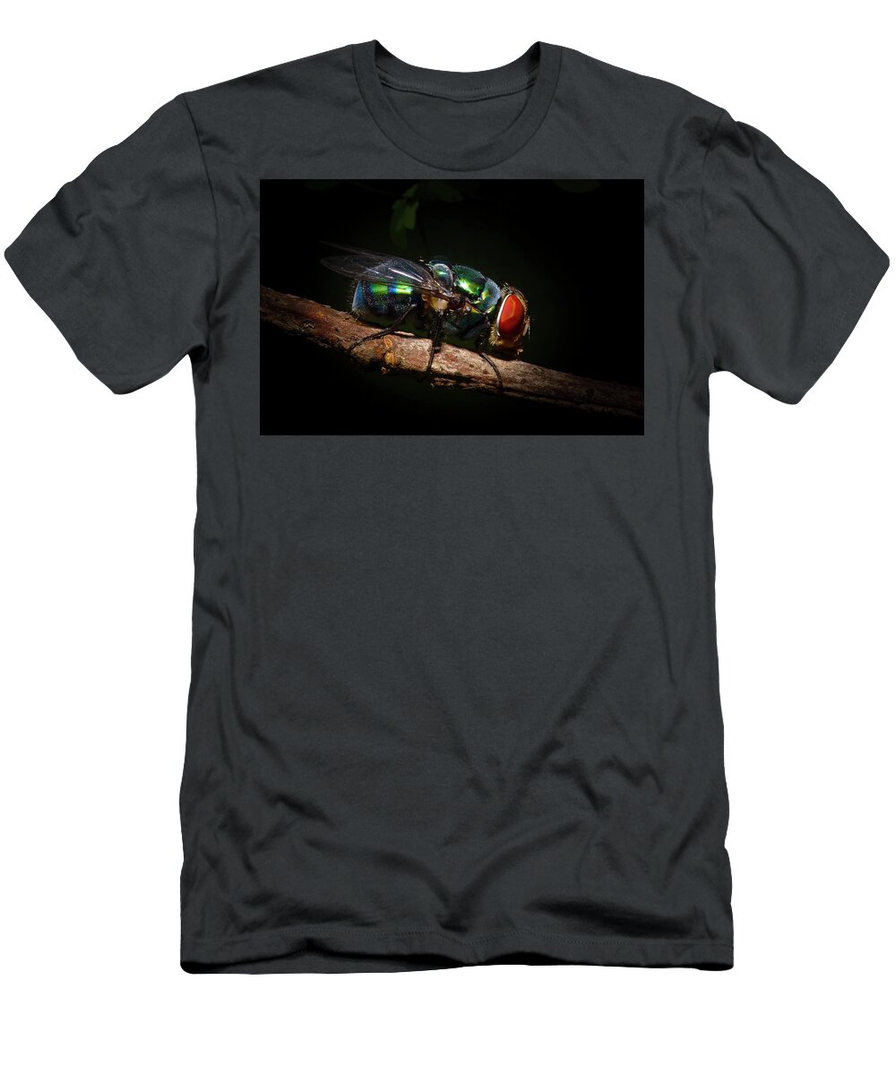 Green Bottle Fly T-Shirt featuring the photograph Green Bottle Fly by Mark Andrew Thomas