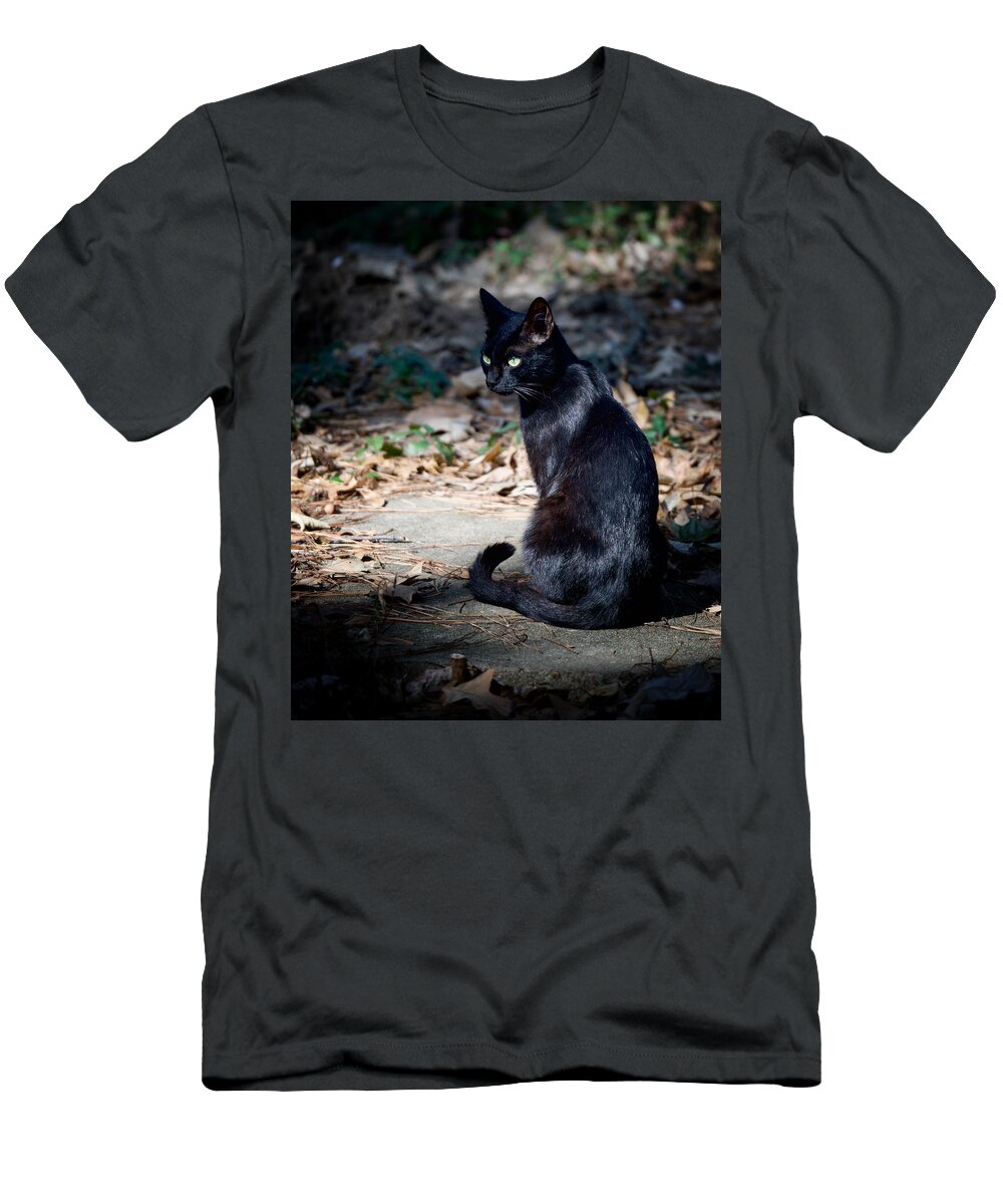 Cat T-Shirt featuring the photograph Green Eyes by DArcy Evans