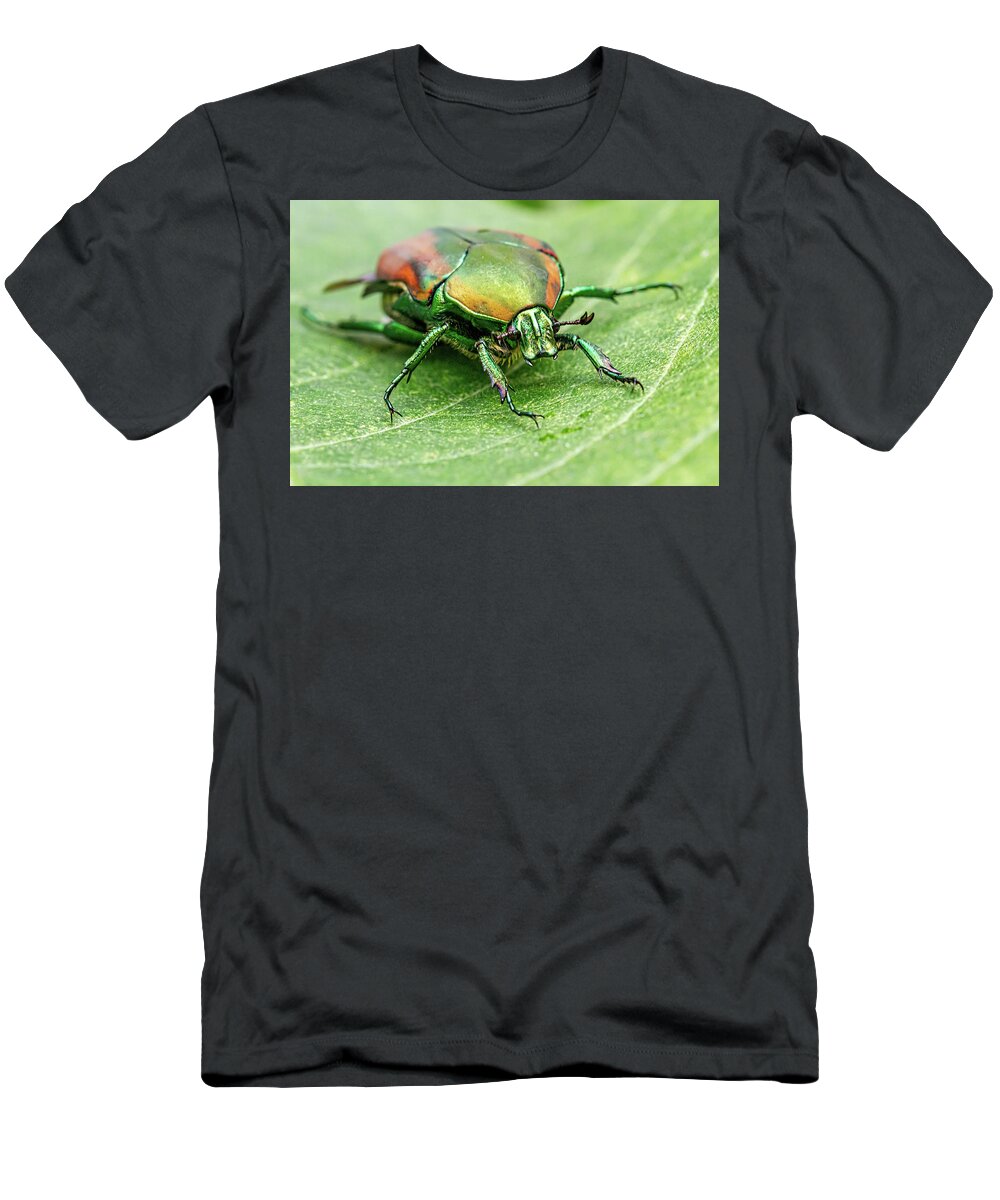 Bug T-Shirt featuring the photograph Green June Beetle by Agustin Uzarraga