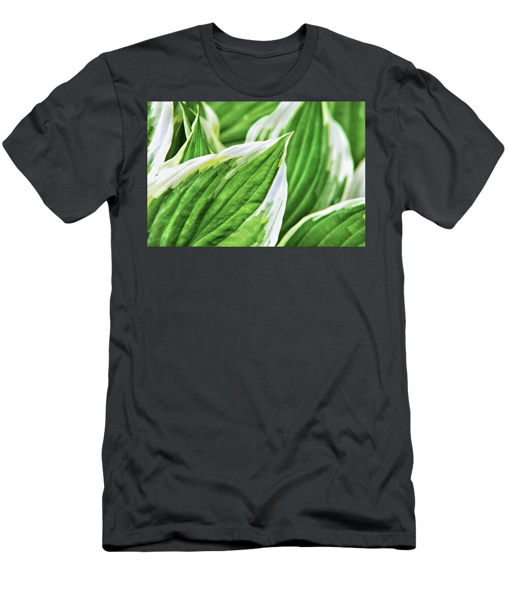Green Leaves T-Shirt featuring the photograph Green Leaves Nature Abstract by Christina Rollo