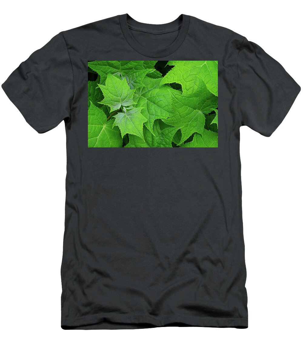 Maple T-Shirt featuring the photograph Green maple leaves by Bernhard Schaffer