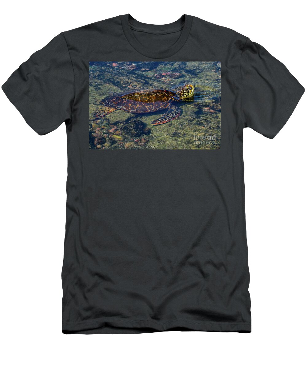 Green Sea Turtle T-Shirt featuring the photograph Green Sea Turtle Resting on Shore in Hawaii by Nancy Gleason